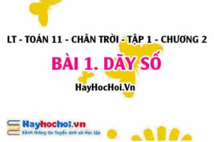 Dãy số vô hạn, dãy số hữu hạn, dãy số tăng, dãy số giảm, dãy số bị chặn là gì, cách xác định dãy số? Toán 11 chân trời Tập 1 chương 2 Bài 1
